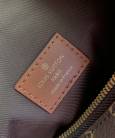 Сумка Louis Vuitton Loop Hobo M46311